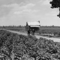 The Rich History of Farming in Southern Mississippi