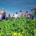 Exploring Educational Programs for Aspiring Farmers in Southern Mississippi