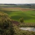 The Rich Agricultural Landscape of Southern Mississippi