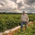 The Importance of Cooperatives and Associations for Farmers in Southern Mississippi