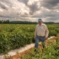 Preparing Farms in Southern Mississippi for Natural Disasters