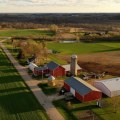 Exploring the Unique Crops Grown on Farms in Southern Mississippi