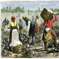 The Work Schedule of Farmers in Southern Mississippi