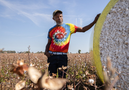 The Vast and Diverse Farms of Southern Mississippi