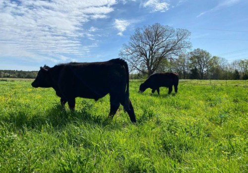 The Average Income for Farmers in Southern Mississippi