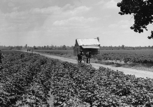 The Rich History of Farming in Southern Mississippi