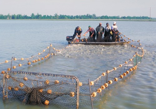 Exploring the Essential Equipment Used on Farms in Southern Mississippi