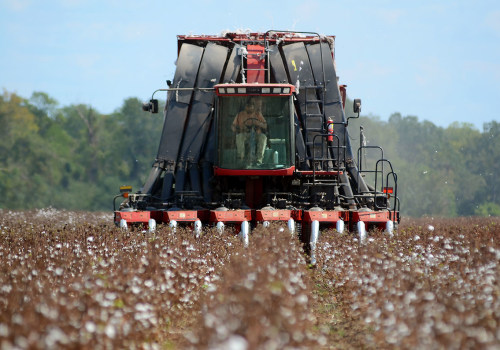 The Economic Impact of Farms in Southern Mississippi