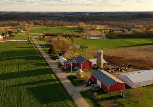 Exploring the Unique Crops Grown on Farms in Southern Mississippi