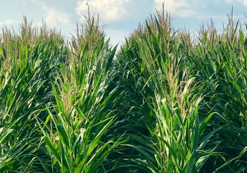 Exploring the Agritourism Opportunities on Farms in Southern Mississippi