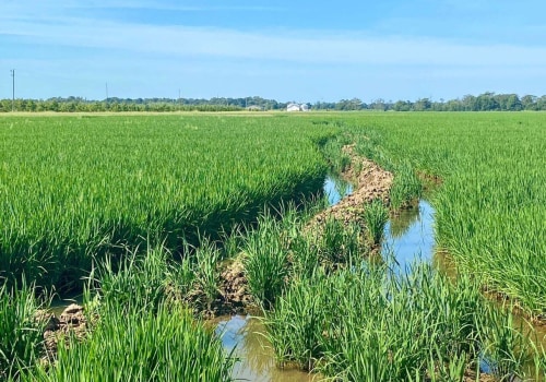 The Process of Obtaining a Farm Loan in Southern Mississippi